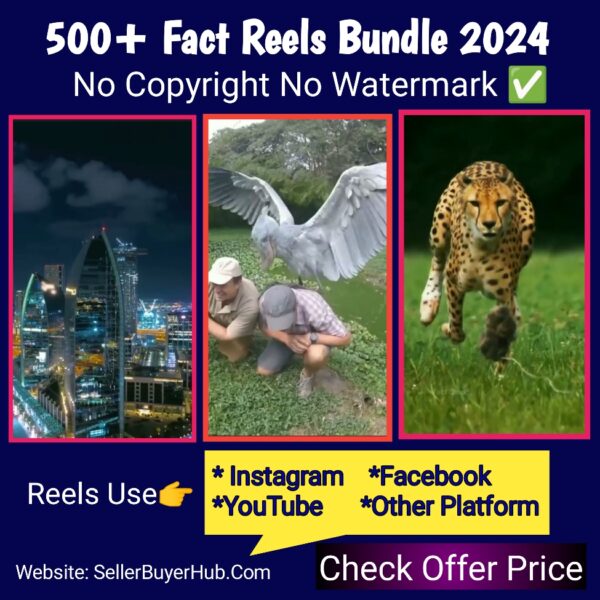 Fact Reels Bundle