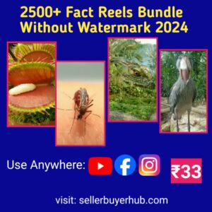 2500 Fact Reels Bundle