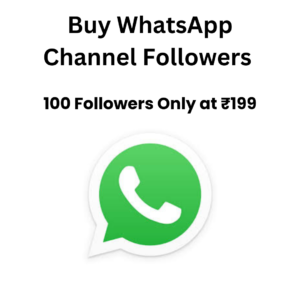 whatsapp channel followers